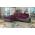 ELTAP OTTAVIO, LARS 68, SOFT 29, PURPLE, LEFT, 29290