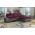 ELTAP OTTAVIO, LARS 68, SOFT 29, PURPLE, RIGHT, 29300