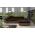ELTAP RICARDO, MONOLITH 29, MONOLITH 09, BROWN, RIGHT, 29929