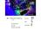 COLORWAY LED RETAZ/ VNUTORNA/50LED/DLZKA 5M/VIAC FAREBNY/ 8 FUNKCII/ NAPAJANIE USB (CW-G-50L5UMC)