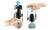 BISSELL ICON PET 2602D