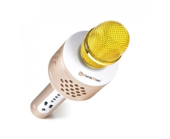 TECHNAXX PRO BLUETOOTH KARAOKE MIKROFON, 2X3W REPRO, LED RGB A FUNKCIA TWS, ZLATA/STRIBORNA, BT-X35