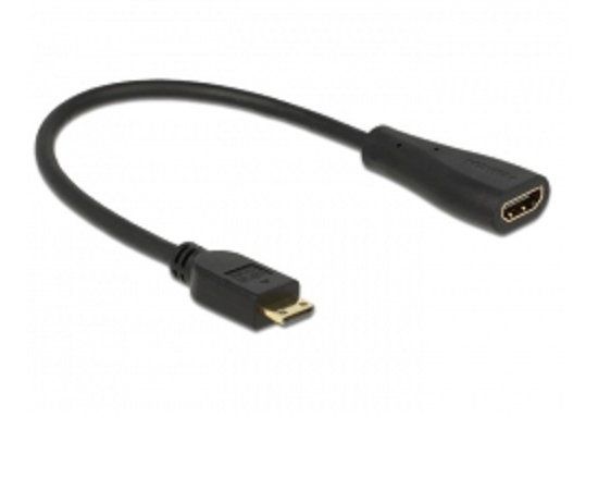 Delock Cable High Speed HDMI with Ethernet - mini C male &gt; A female