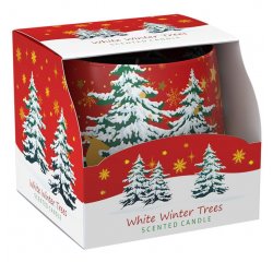 SANTO VONNA SVIECKA V SKLE 100G WHITE WINTER TREES