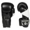 Boxerské rukavice DBX BUSHIDO B-2v6 vel.10 oz