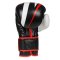 Boxerské rukavice DBX BUSHIDO B-2v7 10 oz