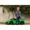 Elektrické autíčko Lamborghini Aventador 24V Dvojmiestne, Zelené lakované, 2,4 GHz DO, Mäkké PU Sedadlá, LCD Displej, odpruženie, vertikálne otváracie dvere, mäkké EVA kolesá, 2 X 45W MOTOR, ORIGINAL licencia