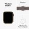APPLE WATCH SERIES 9 GPS + CELLULAR 45MM GOLD STAINLESS STEEL CASE WITH CLAY SPORTBAND-S/M,MRMR3QC/A