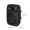 AUNA STREETSTAR 10, MOBILNY PA SYSTEM, 10 (25.5 CM) WOOFER, UHF MIKROFON, 400 W MAX., 10032265