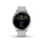 GARMIN VENU 2S SILVER/MIST GRAY 010-02429-12