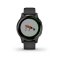 GARMIN VIVOACTIVE 4S PVD BLACK/SLATE 010-02172-13