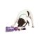 PETSAFE TUG-A-JUG X-SMALL