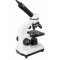 (CZ) Digitální mikroskop Levenhuk Rainbow D2L 0.3M, Moonstone (Moonstone, CZ)