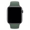 Apple Watch 44mm Pine Green Sport Band - S/M &amp; M/L
